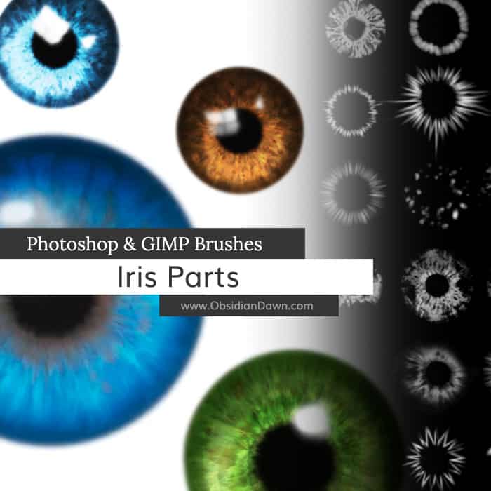 pinceaux photoshop gratuits pour pièces d'iris