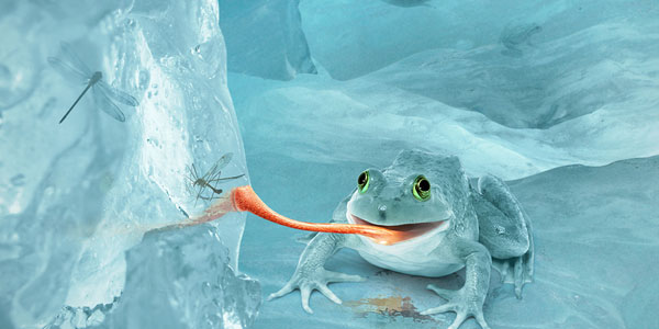 צור צפרדע שלג ארקטית בדיונית בפוטושופ