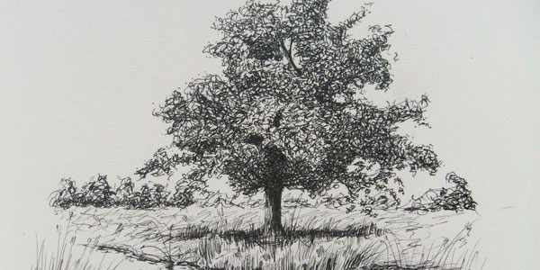 L'arbre