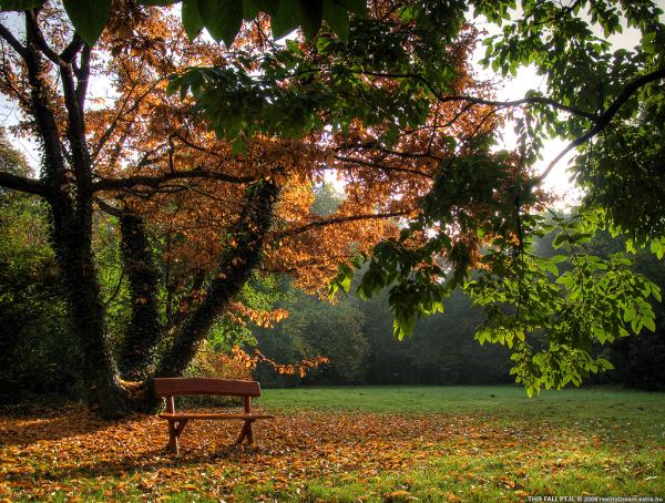 Cette partie d'automne