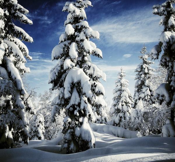 Aussi pur que la neige