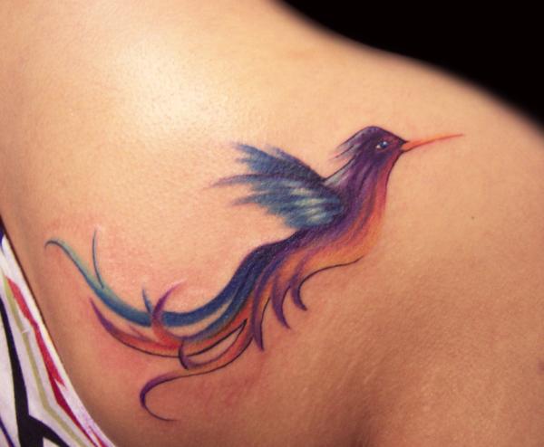Freehand Color Bird