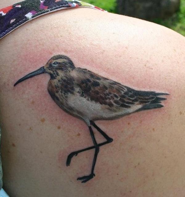 Tatouage oiseau bécasseau