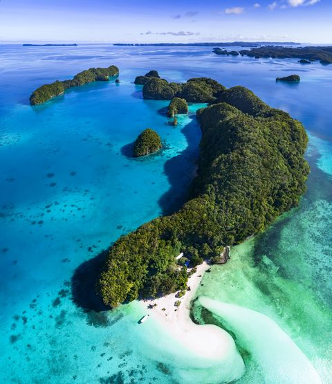 Vue aérienne des îles Palau et banc de sable à marée basse