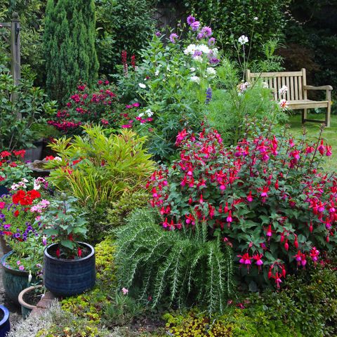 φωτεινά λουλούδια στον αγγλικό κήπο με γλάστρες βεράντες παρτέρια