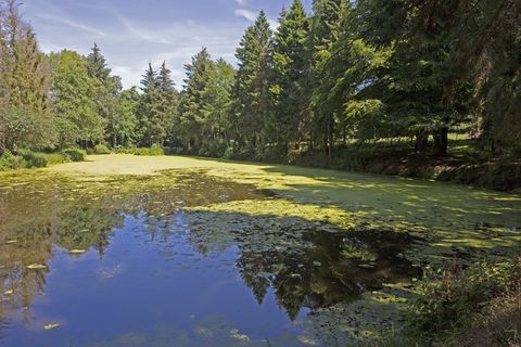 Château imposant à vendre à Fife, Ecosse