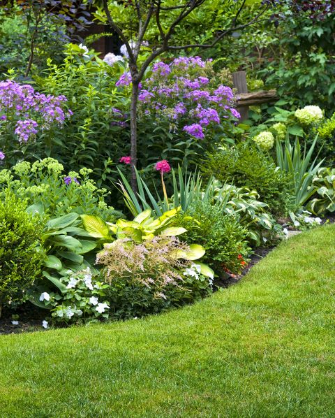 jardin paysager luxuriant avec parterre de fleurs et plantes colorées