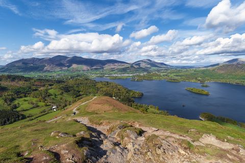 copeland στην cumbria