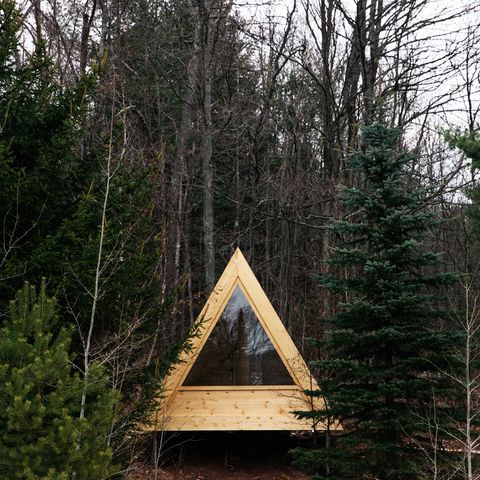 cabane de l'hôtel eastwind dans les bois