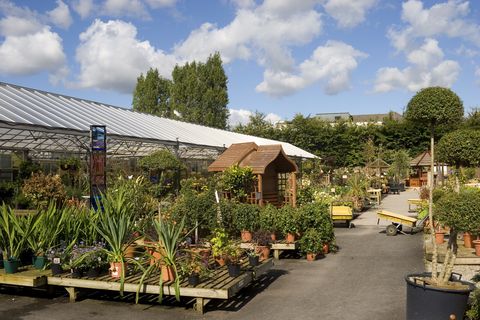 Centre de jardinage à Knutsford, Cheshire, Royaume-Uni