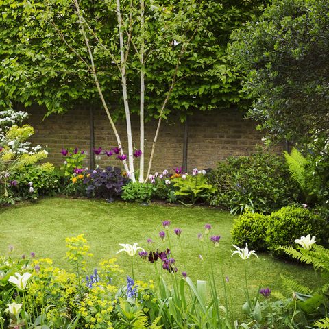 comment concevoir un jardin accessible, selon la voie du monde des jardiniers