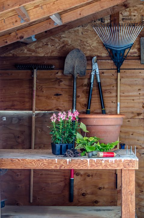 plante en pot sur table en hangar