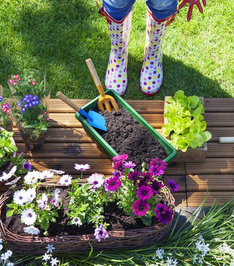 femme avec des outils de jardinage, des fleurs et des pots