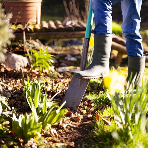 femme creusant un trou dans le jardin avec une pelle