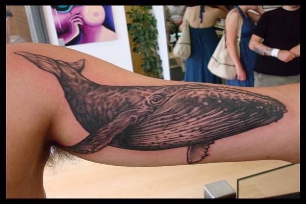 Tatouage Biceps Baleine Bleue