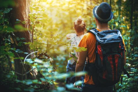 Randonnée à travers une forêt.