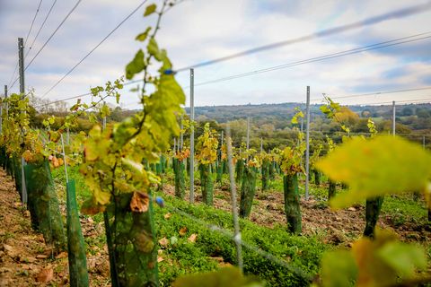 maison classée grade ii avec un vignoble est à vendre dans le sussex