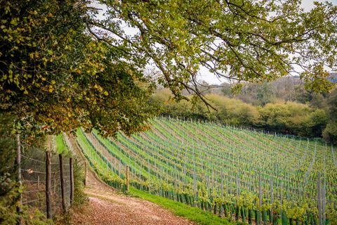 maison classée grade ii avec un vignoble est à vendre dans le sussex