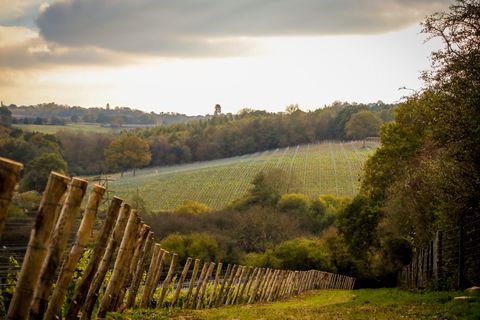 maison classée grade ii avec un vignoble est à vendre dans le sussex