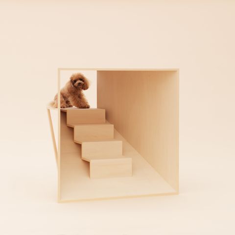 l'exposition d'architecture pour chiens de renommée internationale sera lancée au japan house london le samedi 19 septembre 2020