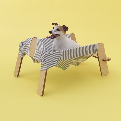 l'exposition d'architecture pour chiens de renommée internationale sera lancée au japan house london le samedi 19 septembre 2020