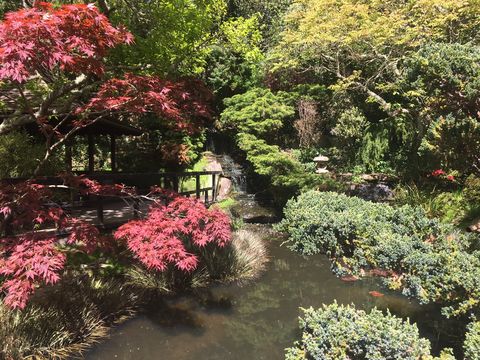 ιαπωνικός κήπος, newquay