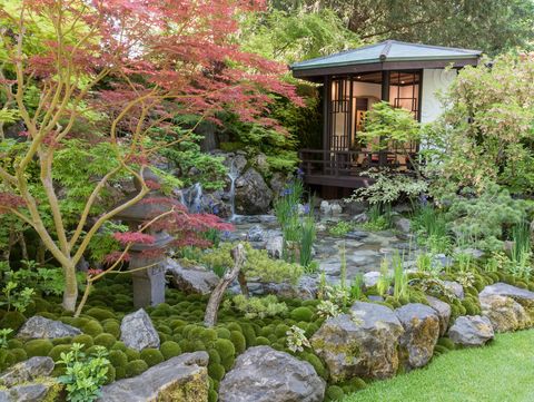 o mo te na shi no niwa η φιλοξενία κήπος σχεδιασμένη από τον kazuyuki ishihara χορηγία του g lion rhs chelsea flower show 2018 stand no 566