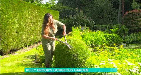 קלי ברוק חושפת את הגינה שלה הבוקר
