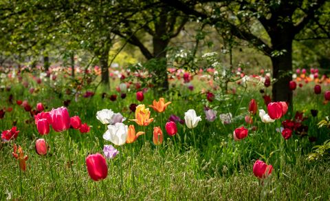 meilleurs jardins britanniques