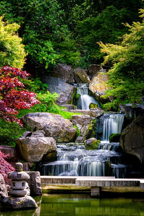 καταρράκτης μακράς έκθεσης κατακόρυφη θέα με σφενδάμια στον κήπο του Κιότο στον ιαπωνικό πράσινο κήπο στο πάρκο του Ολλανδού, πράσινο καλοκαίρι, λίμνη ζεν, λίμνη νερό στο Λονδίνο, Ηνωμένο Βασίλειο