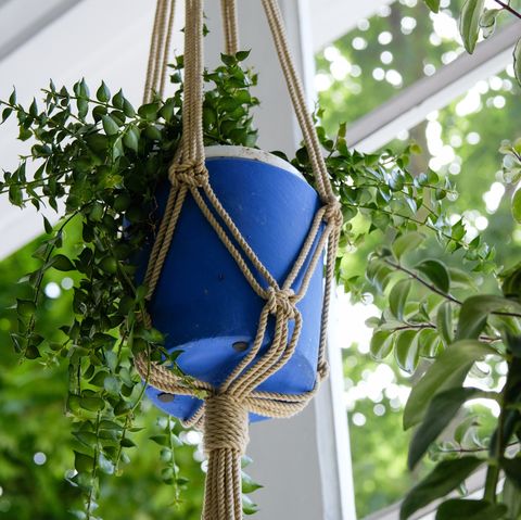 vue à faible angle de plantes dans des supports en macramé