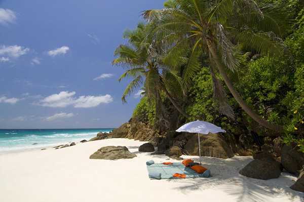 слънчеви бани на плажа в рая под сянката на палмови дървета
