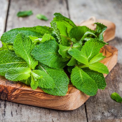 bouquet de menthe fraîche biologique sur une planche à découper en bois