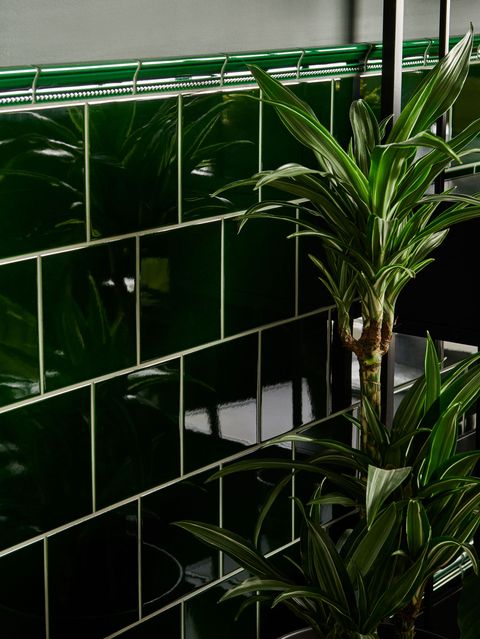 πρωτότυπα έργα τέχνης βικτοριανό πράσινο e9928, e9000, e9903 με χωμάτινα μαρμάρινα πλακάκια δαπέδου τοπίο