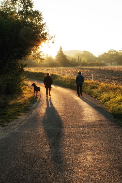 δύο γυναίκες που περπατούν ένα σκυλί στην ανατολή