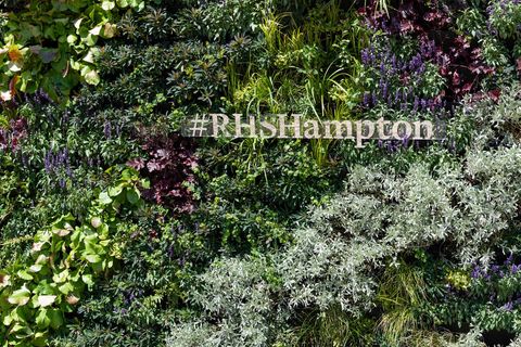 mur vivant à rhs hampton court palace flower show 2018