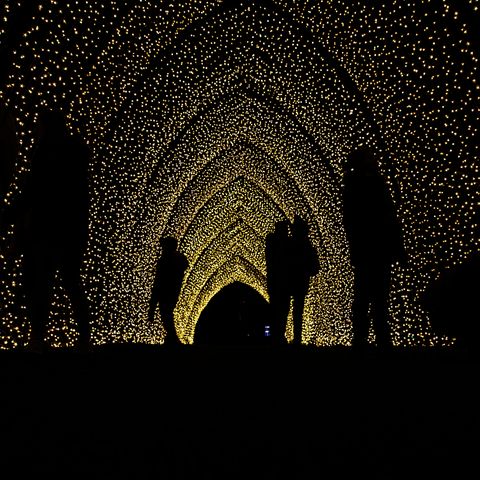 aperçu des installations illuminées de noël à kew