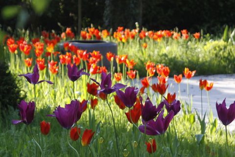 une belle propriété actuellement détenue par un médaillé d'or de Chelsea Flower Show est à vendre