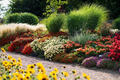 floral fantasia, rhs garden hyde hall 2019