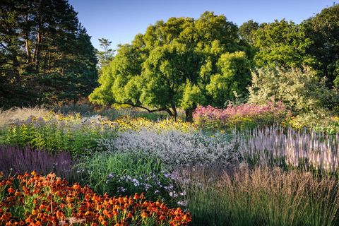 κύρια σύνορα rhs garden harlow carr