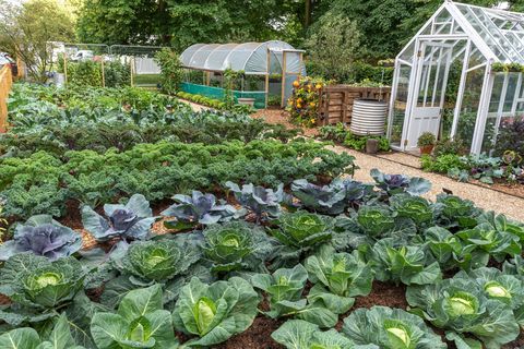 le jardin de démonstration d'allotissement rhs no dig conçu en association avec charles dowding et stephanie hafferty, festival des jardins du palais de hampton court 2021, exposition florale du palais de hampton court