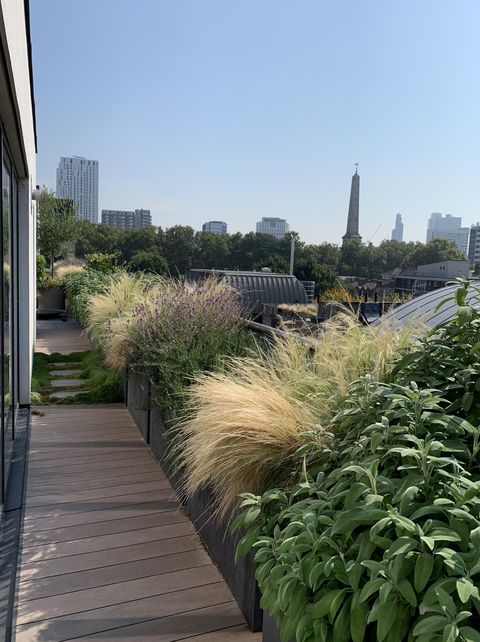 roof garden by bowles wyer