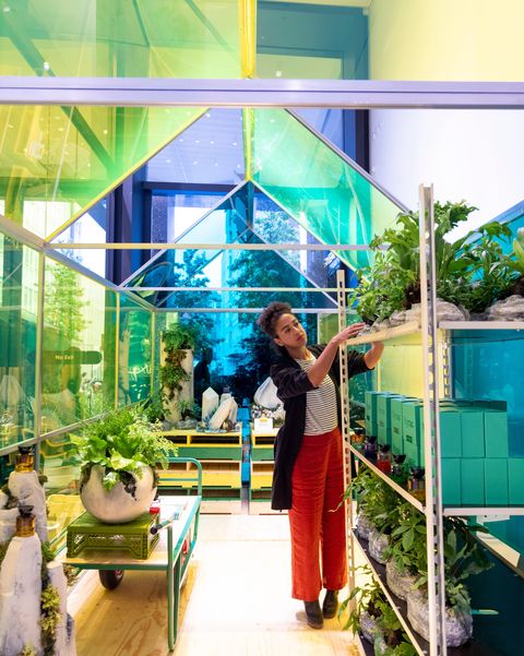 Selfridges se lance dans les jardineries en magasin