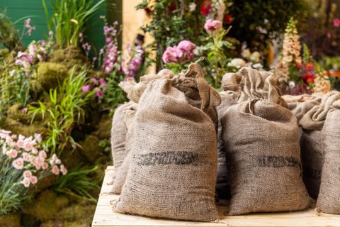 Selfridges se lance dans les jardineries en magasin