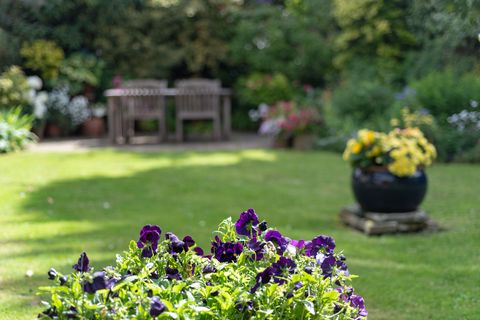 maison rose suffolk à vendre dans l'essex