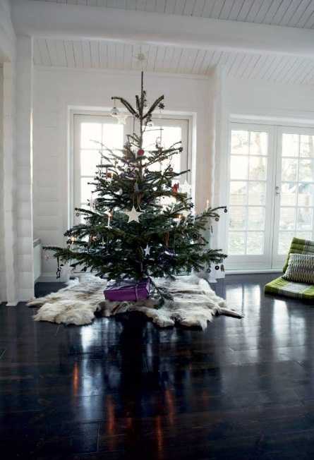 شجرة عيد الميلاد في الداخل
