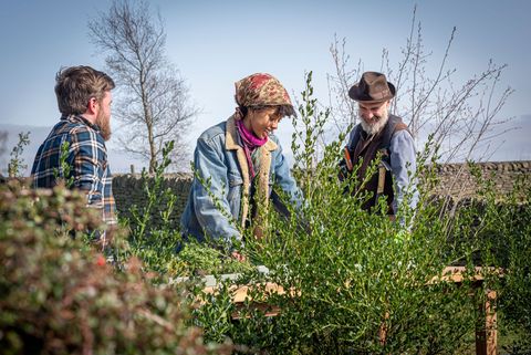 la grande révolution des jardins pavot okotcha