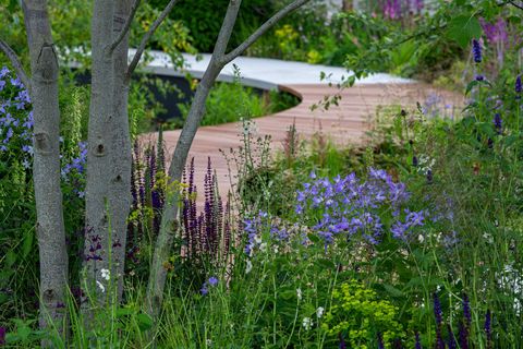 tom simpson obtient l'or pour la recherche sur le cancer au royaume-uni jardin d'héritage à rhs hampton court 2021