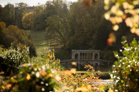 Les couleurs d'automne atteignent leur apogée au Royaume-Uni