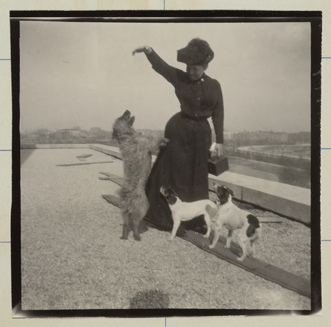 איזבלה סטוארט גרדנר ושלושה כלבים